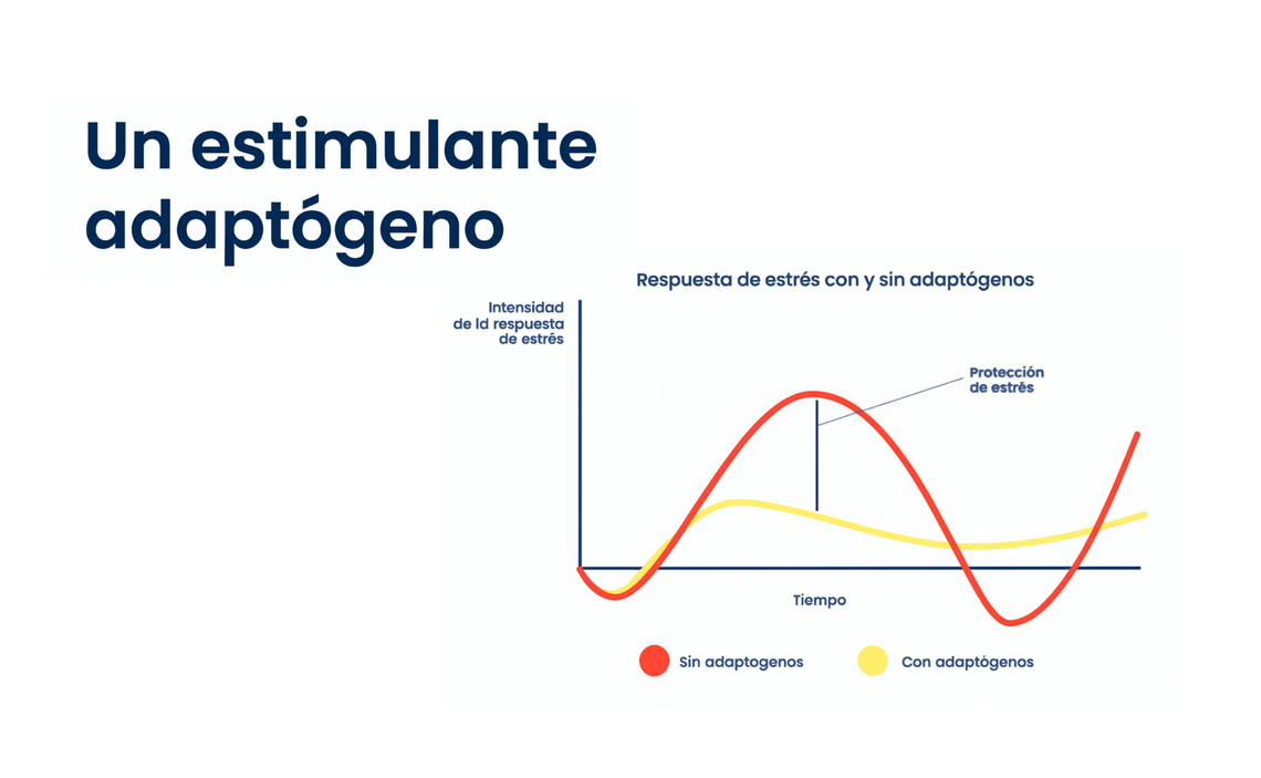 Your Feel Great Journey